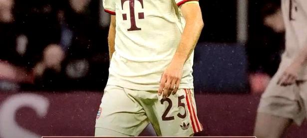 1xbet体育娱乐-拜仁慕尼黑中场伤愈复出，增强实力的简单介绍