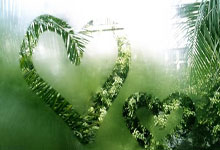 1xbet体育在线登录-关于利物浦再下一城，实力不容小觑的信息