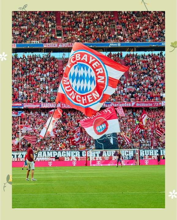 不莱梅队员伤愈归来，状态复苏，备战残酷对阵的简单介绍